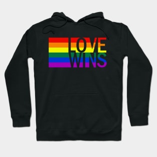 Love Always Wins Hoodie